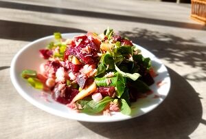 vakantie salade van rode biet