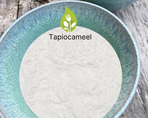 Tapiocameel Tapiocameel in een blauwe schaal, op een houten tafel