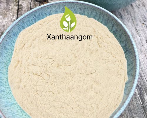 xanthaangom Blauwe kom met xanthaangom. met tekst xanthaangom en het logo van eetjezelfvitaal